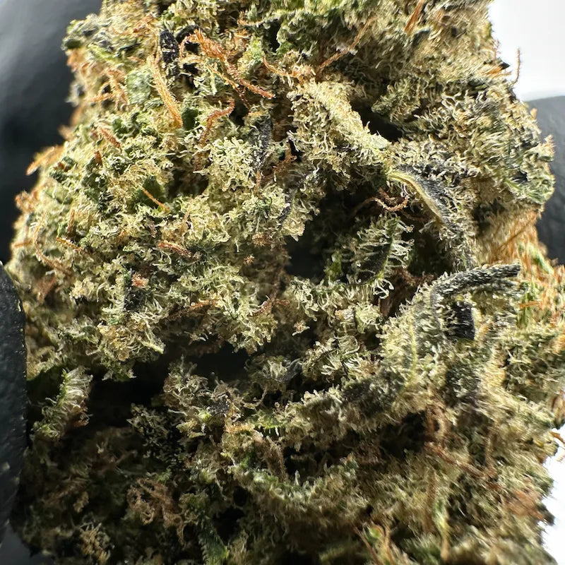 CALI ROYAL