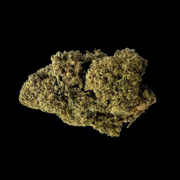 ORANGE BUD