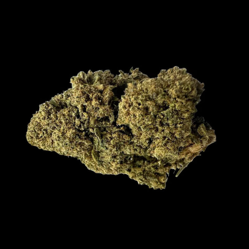 ORANGE BUD