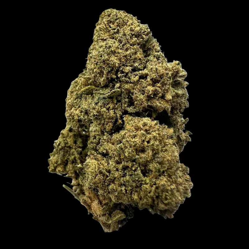 ORANGE BUD