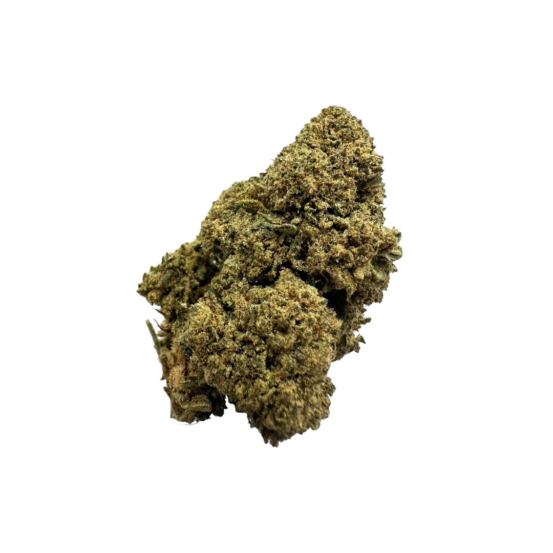 ORANGE BUD