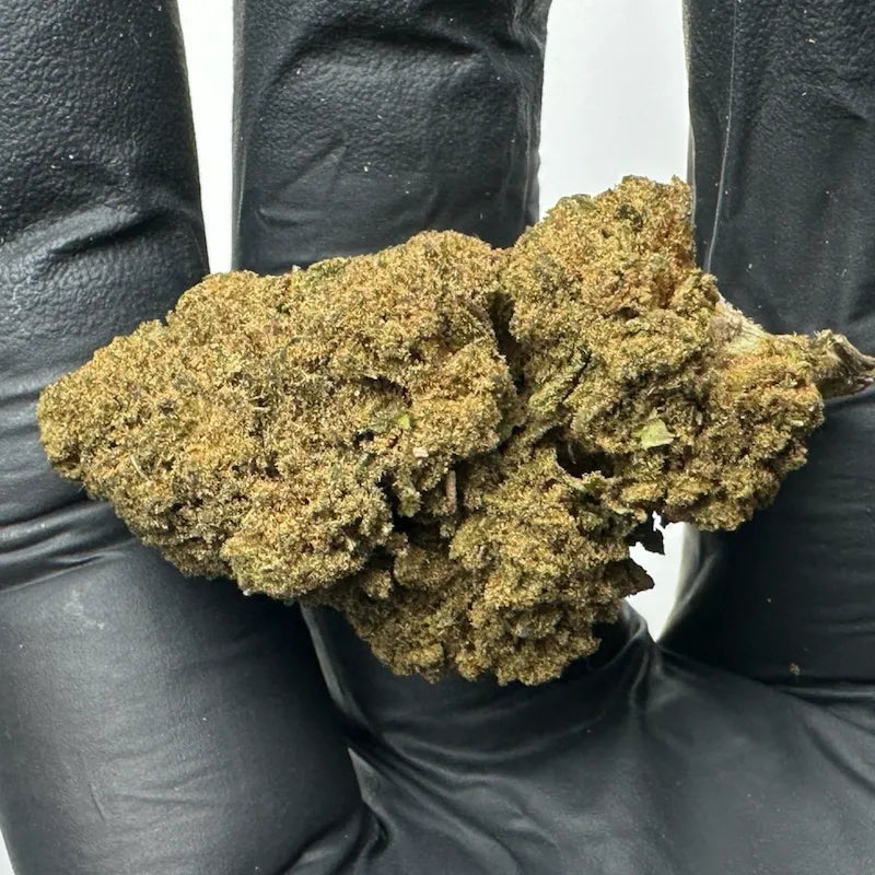 ORANGE BUD
